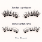 Féline — Œil de chat : bandes supérieures et inférieures pour les deux yeux